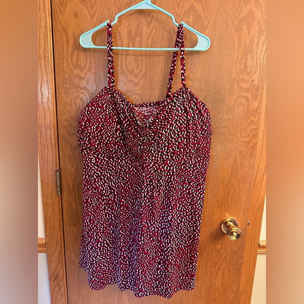 Plus Size Swim Dress